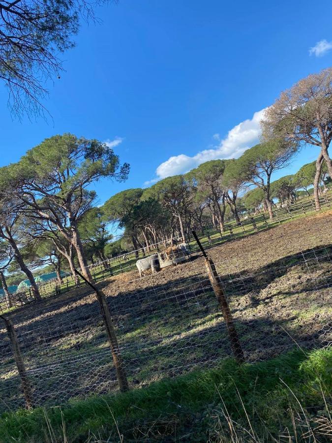 Beautiful Apartment With Exclusive Garden And Terrace Monteverdi Marittimo Luaran gambar